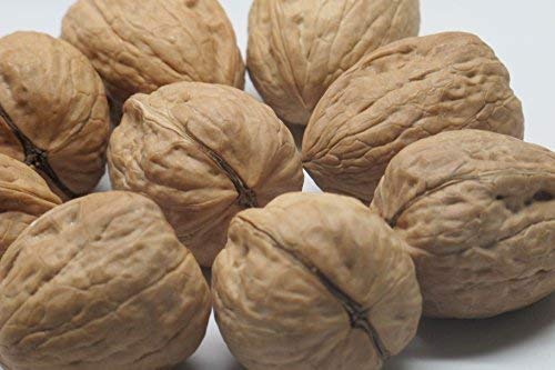 Presto Sales Hartley choice walnuts symbolize top quality and freshness