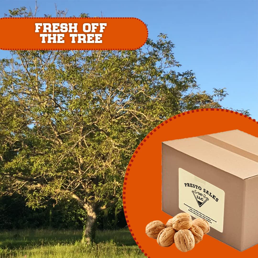 Presto Sales walnut protein and omega-3 rich snack for a satisfying bite