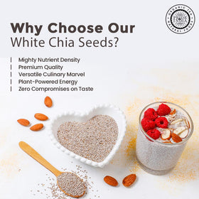 Pride Of India White Chia Seeds in pudding, creating creamy texture with plant-based nutrients