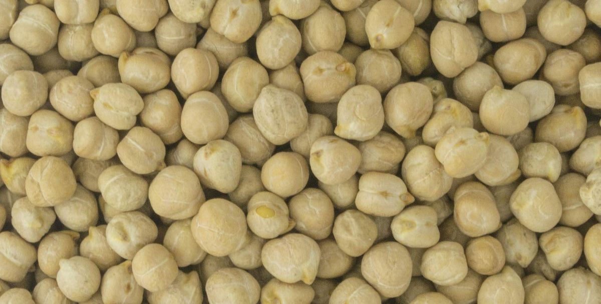 PRIMAL HARVEST sproutable garbanzo beans – fresh flavor when soaked and sprouted