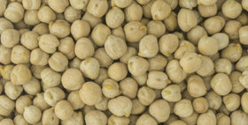 PRIMAL HARVEST sproutable garbanzo beans – fresh flavor when soaked and sprouted