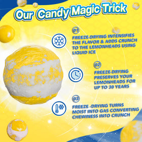 Primary Colors Candy lemon heads offer a bold sour flavor punch for snacking