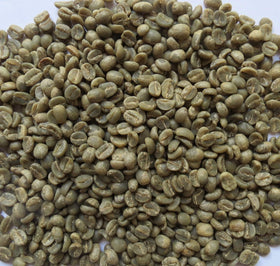 Primos Coffee Co. Direct Trade tag; traceable origin supporting farmers and local communities.