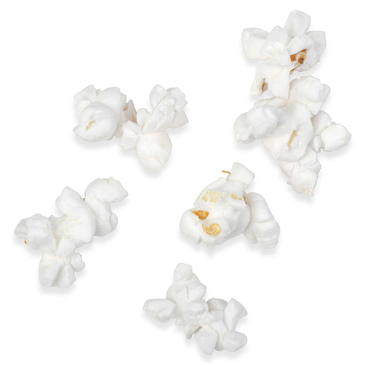 Princeton Popcorn hulless kernels popped in oil yield tender bites.