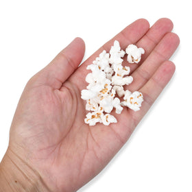 Princeton Popcorn Yellow Butterfly kernels ready for stovetop popping, yielding fluffy results