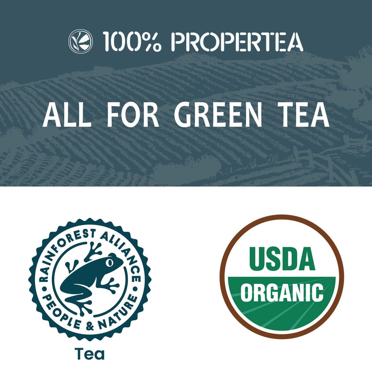 Propertea resealable pouch keeps tea fresh between brews.