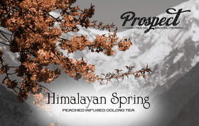 Prospect Tea Co. Himalayan Spring Peach Oolong pods with hand-selected ingredients and artisanal flavor.