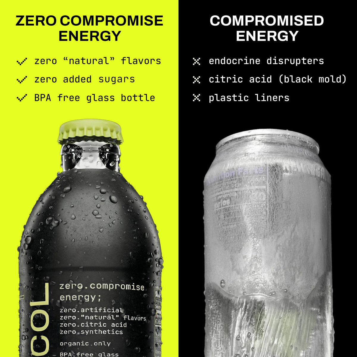Close-up of Protocol guayusa leaf highlighting natural caffeine source for steady alertness.