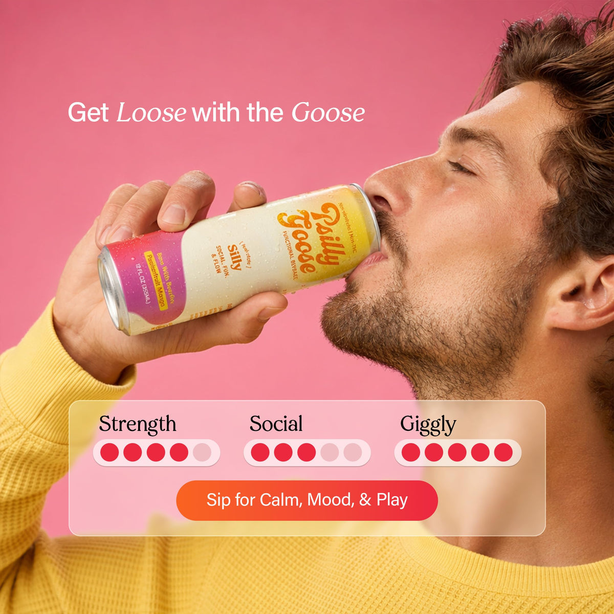 Psilly Goose party scene illustrates social vibe without alcohol.