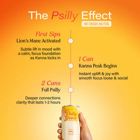 Psilly Goose passionfruit mango close-up highlights tropical aroma and refreshing finish.