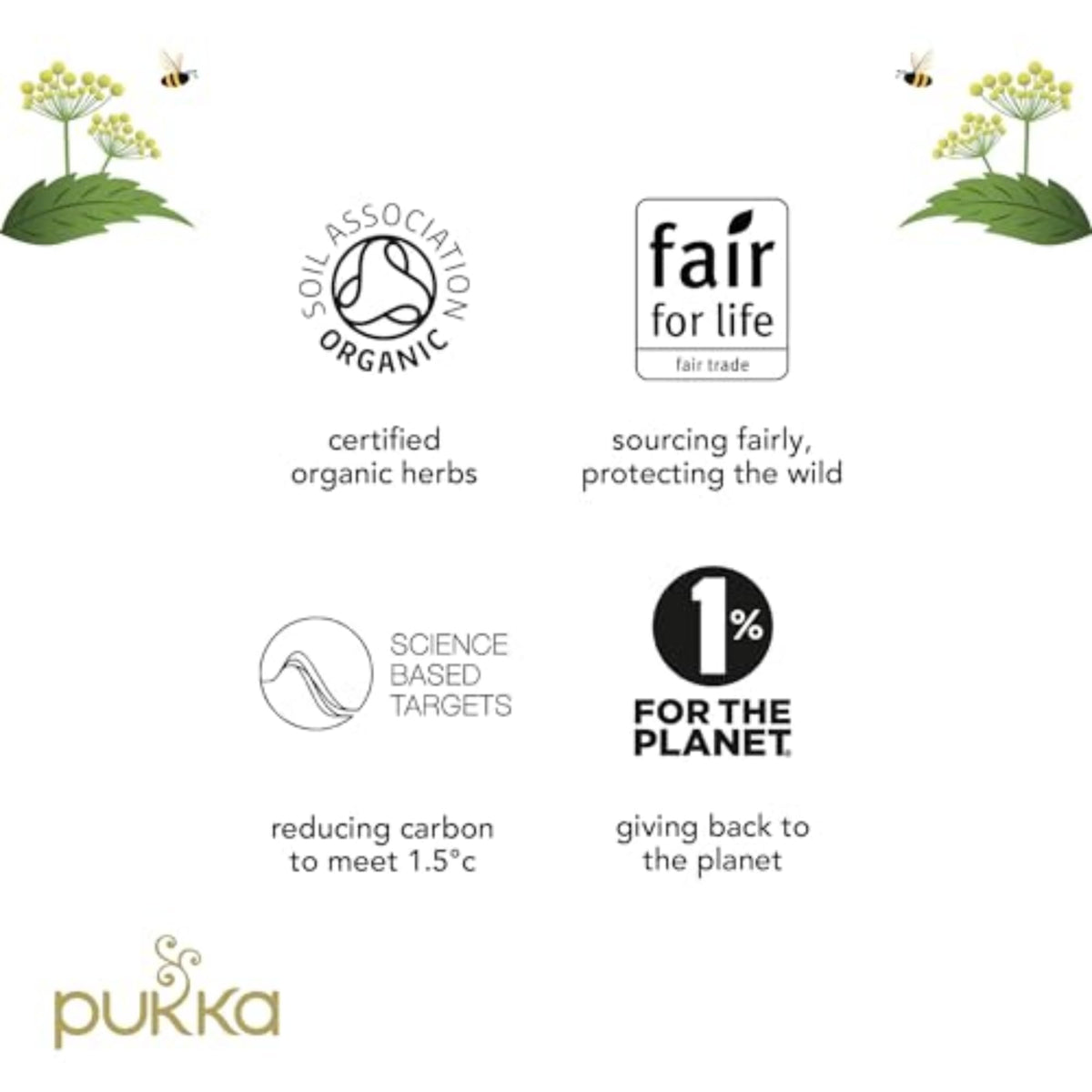 Boxed Pukka Elderberry & Echinacea 4-pack packaging for easy stocking.