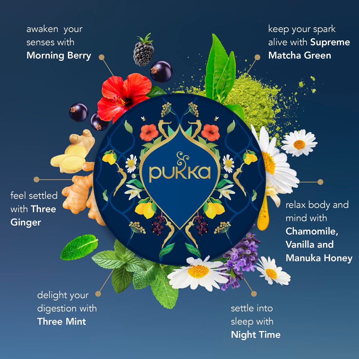 Pukka Luxury Tea Sampler 90 teabags showcasing generous, caffeine-free options