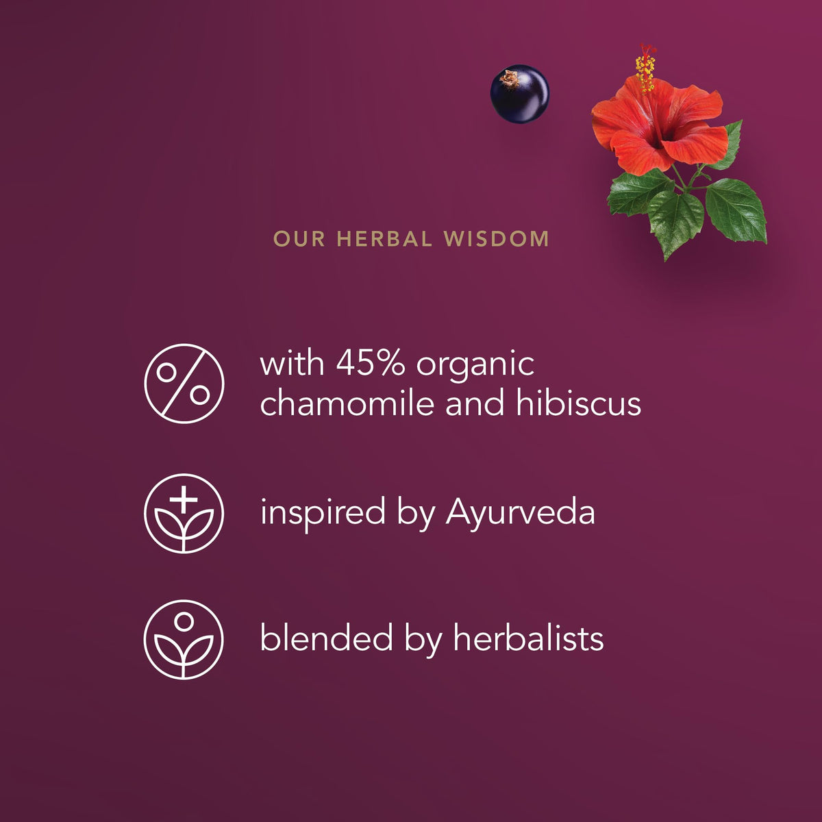 Pukka Night Time Berry label detail highlighting organic ingredients.