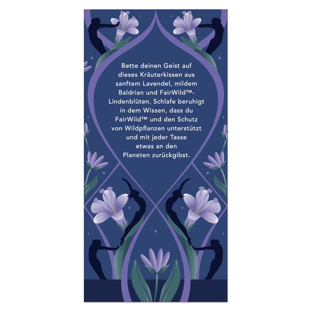Pukka Night Time FSC packaging signals sustainable sourcing for eco-friendly tea moments.