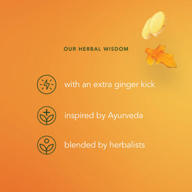 Gift-worthy Pukka Three Ginger gift set presentation