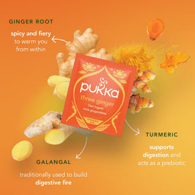Pukka Three Ginger herbs close-up showing ginger, turmeric and galangal