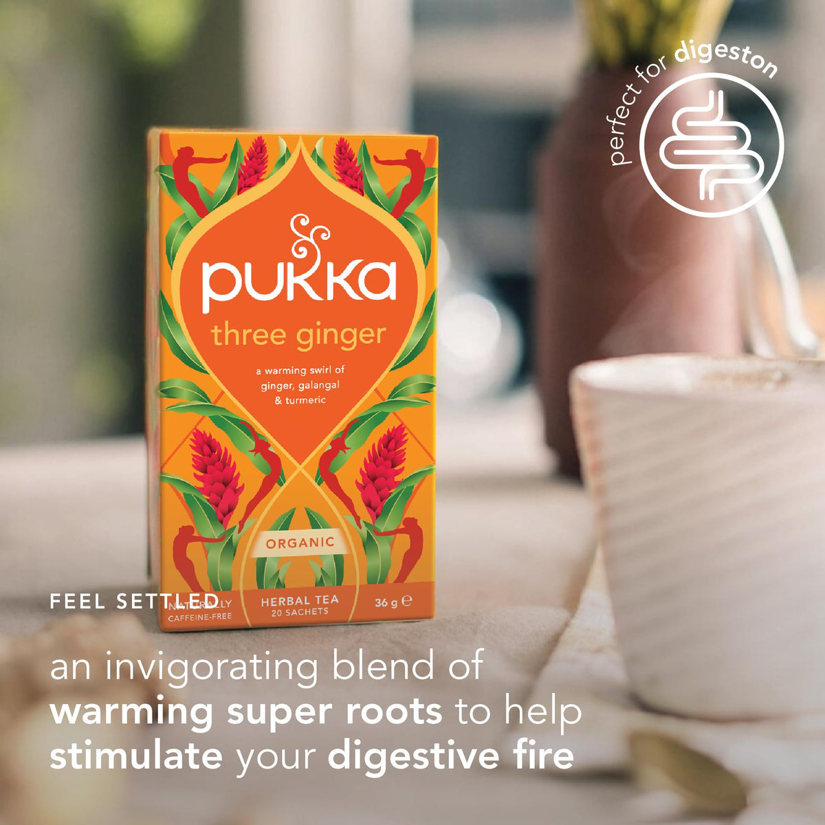 Cup with Pukka Three Ginger tea brew and warm aroma
