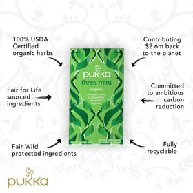 Pukka Three Mint tea bags in cup showing crisp mint flavor