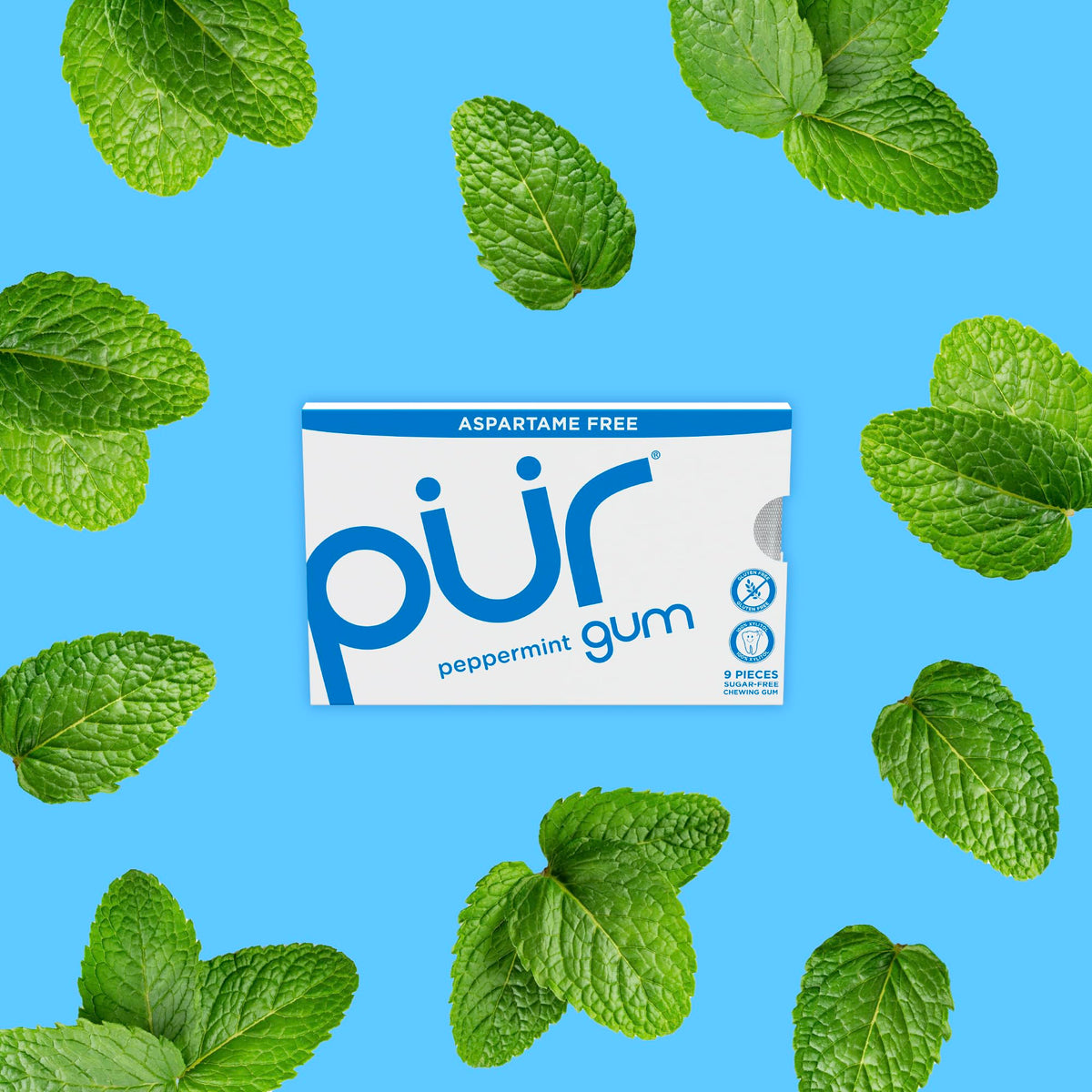 PUR Gum 100% xylitol ingredient label suggests naturally sweet flavor.