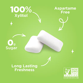 Allergen-free icon set on PUR Gum packaging for inclusive choices.
