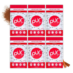 PUR Gum Cinnamon 55-piece pack in a resealable bag for on-the-go use.