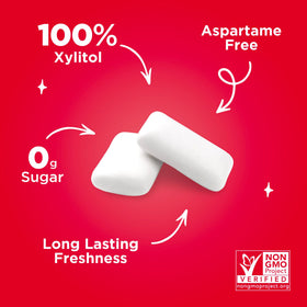Pur Gum Cinnamon allergen-free icons emphasize vegan, gluten-free, nut-free benefits.