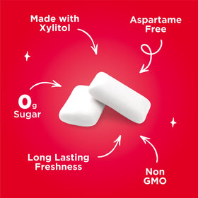 Close-up of PUR Gum Cinnamon pieces with bold cinnamon flavor and xylitol sweetness.