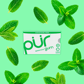 Pur Gum Spearmint packaging display emphasizes vegan and allergen-free status.