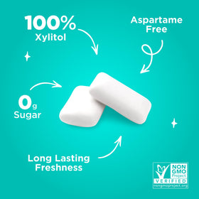 Nutritional panel on PUR Gum Wintergreen packaging showing ingredients.