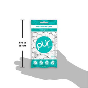 Pur Gum Wintergreen Mint packaging display shows travel-friendly minty refreshment.