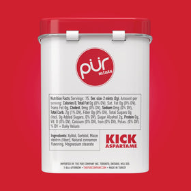 PUR Mints Cinnamon reusable tin showcases convenient storage