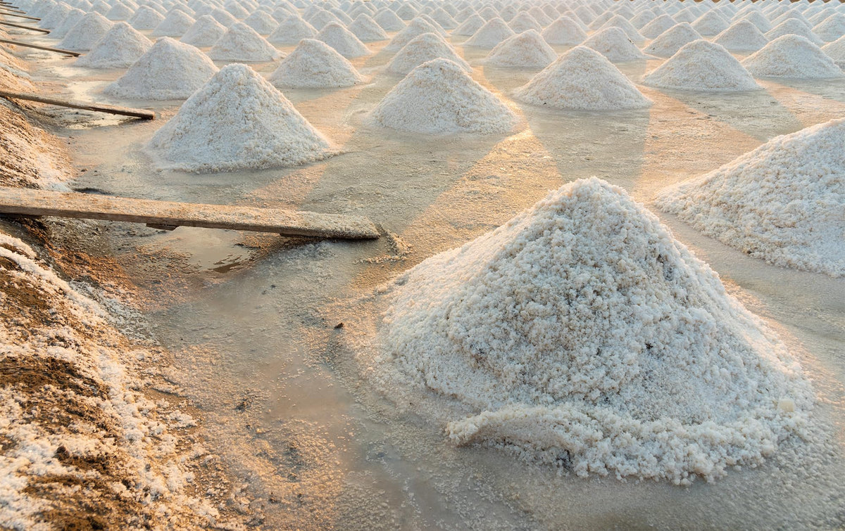 Pure Flourish coarse salt from France harvest illustrates traditional hand harvest methods.