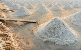 Pure Flourish coarse salt from France harvest illustrates traditional hand harvest methods.