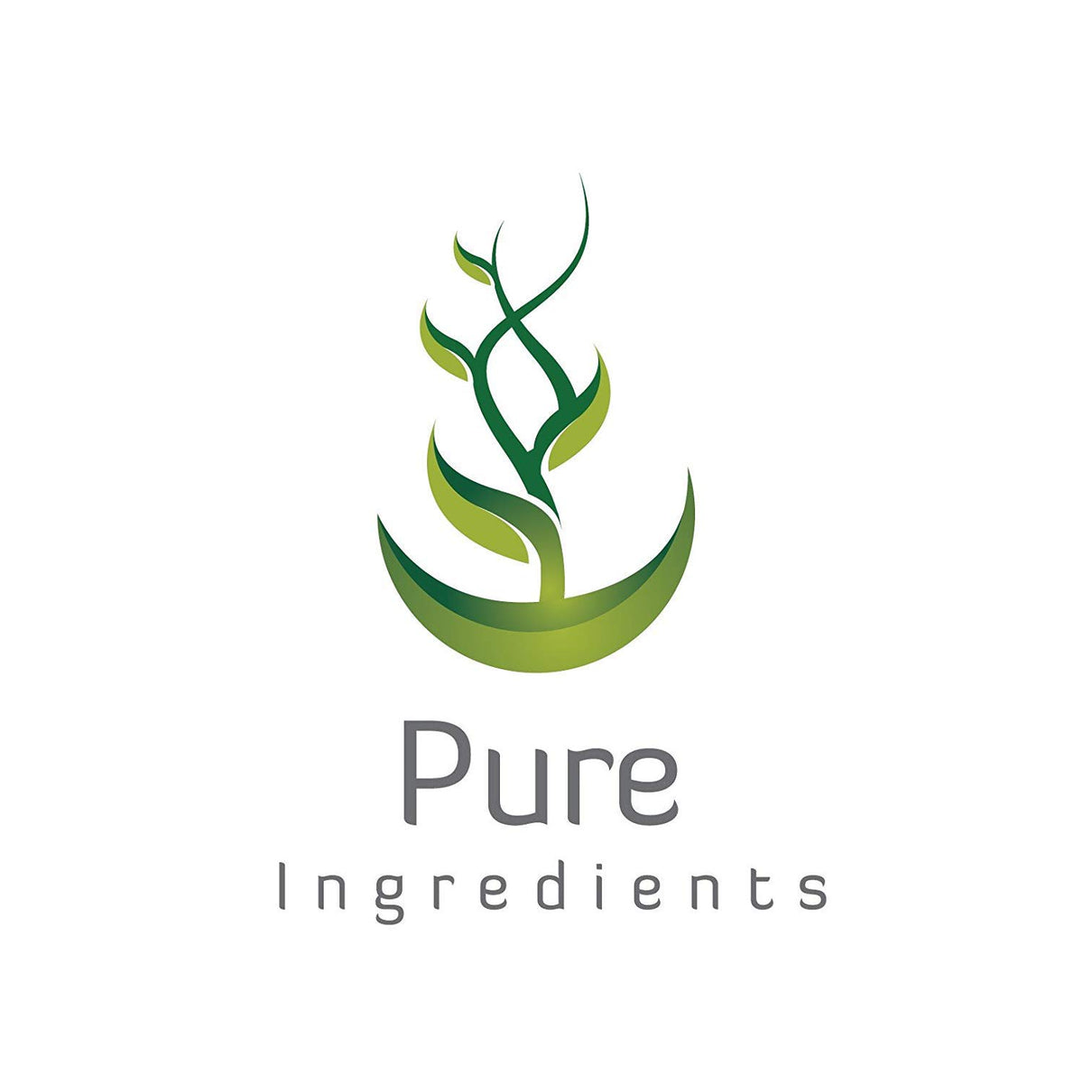 Pure Original Ingredients potato starch gluten-free baking surface.