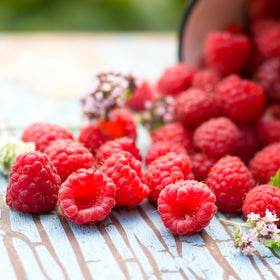 Dessert topping using Raspberry Powder for a fruity finish