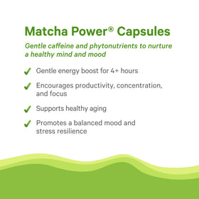 PURE SYNERGY Matcha Power capsules being poured for quick on-the-go energy