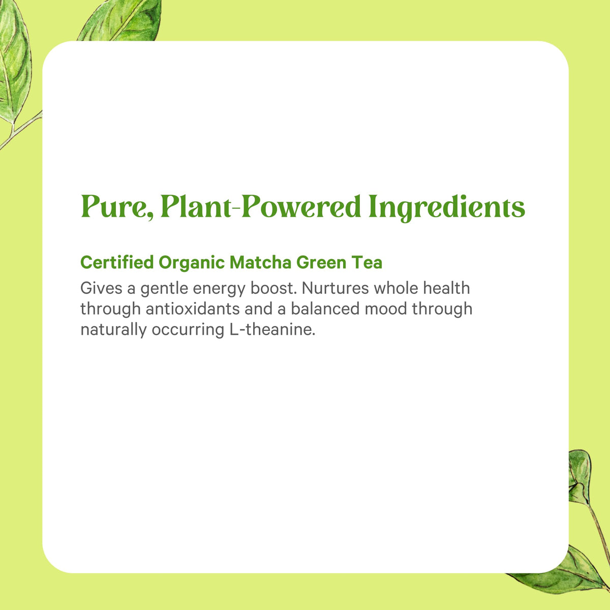 PURE SYNERGY Matcha Power packaging box highlighting US-made production