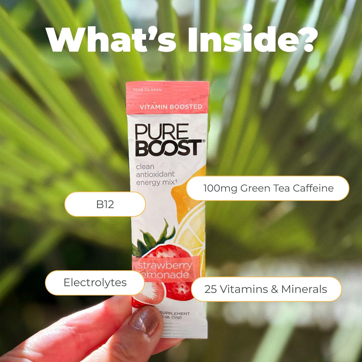 Pureboost green tea caffeine boost ingredient blend supports steady lift.