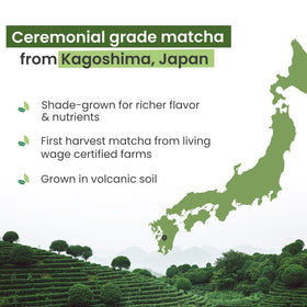 Close-up of vibrant green PureChimp matcha powder highlighting quality and color.