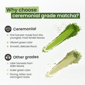 PureChimp ceremonial matcha latte with steamed milk showing smooth texture.