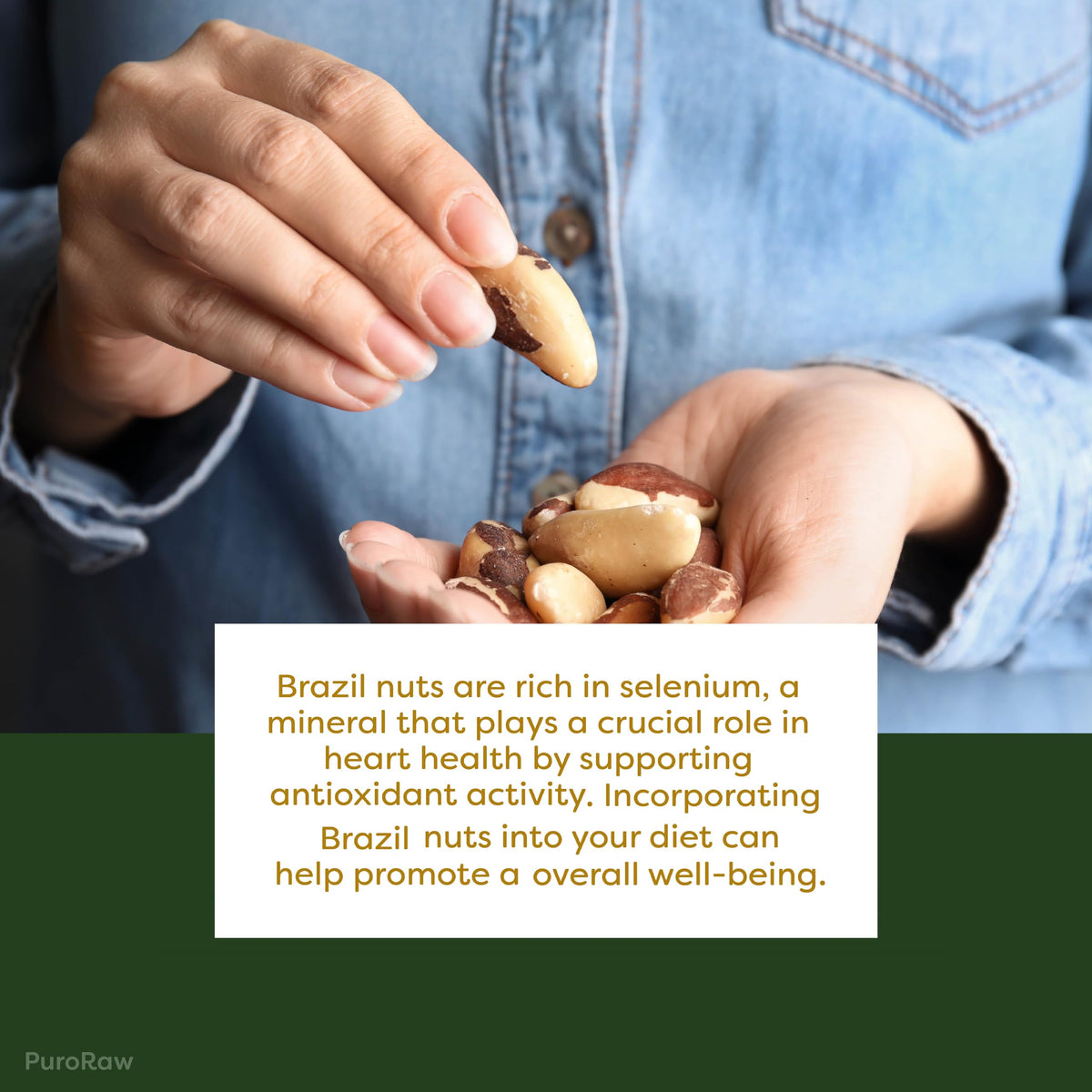 Puroraw Brazil nuts trail-mix idea, convenient snack pack.