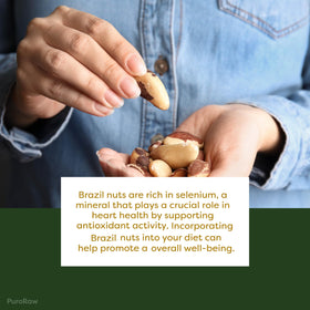 Puroraw Brazil nuts trail-mix idea, convenient snack pack.