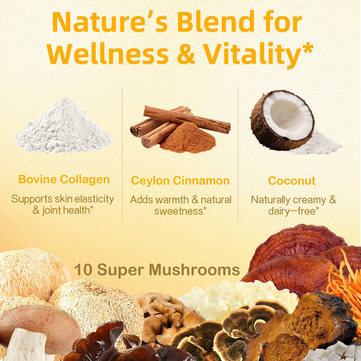 Qin Shan Tang 10 mushrooms powder closeup highlights wellness blend for focus