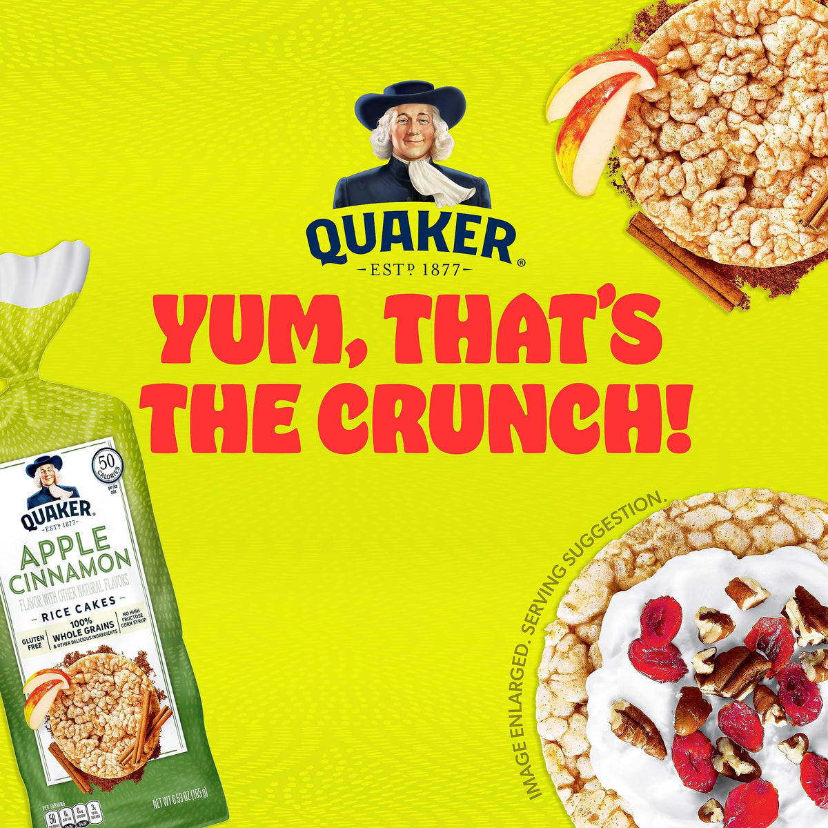 Close-up of Quaker Apple Cinnamon Rice Cakes texture and color, crispy crunch.
