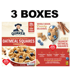Quaker Oatmeal Squares Cinnamon closeup highlighting crunchy texture and whole grains.