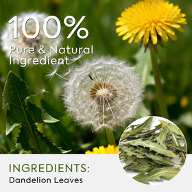 QualiLife Dandelion Leaf Tea bags ready for quick, convenient brewing.
