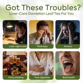 QualiLife Dandelion Leaf Tea raw leaves close-up highlighting natural plant material.