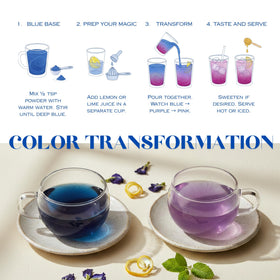 Queen Omi blue matcha-inspired brew showcasing natural hue from anthocyanins.