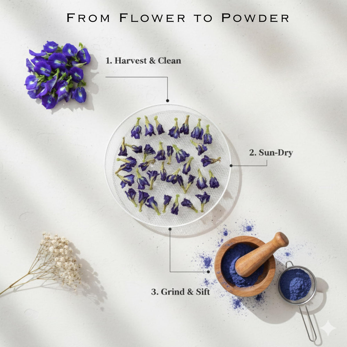 Queen Omi sun-dried butterfly pea tea from a Thai farm.