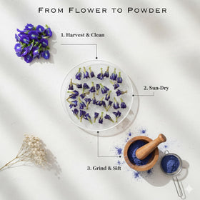 Queen Omi sun-dried butterfly pea tea from a Thai farm.
